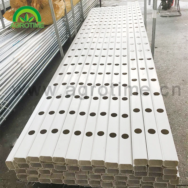 hydroponic systems for grow lettuce