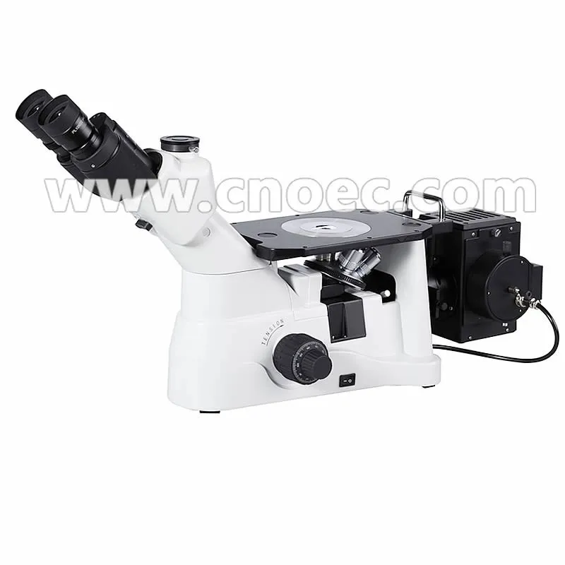 A13.0906 Trinocular metallurgical microscope, inverted