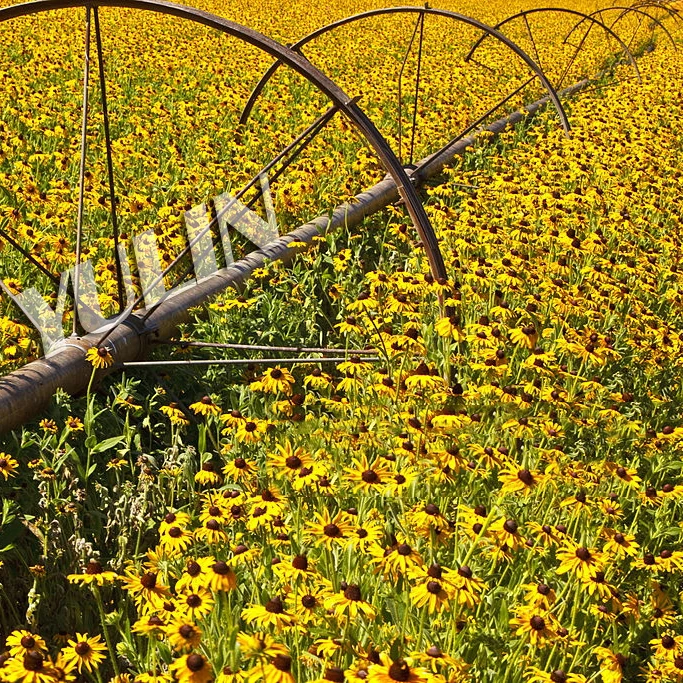 Movable irrigation equipment side roll irrigation equipment