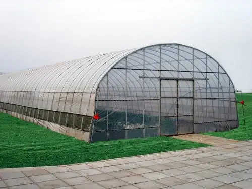 
low cost tomato growing tunnel hitech polyhouse greenhouse 