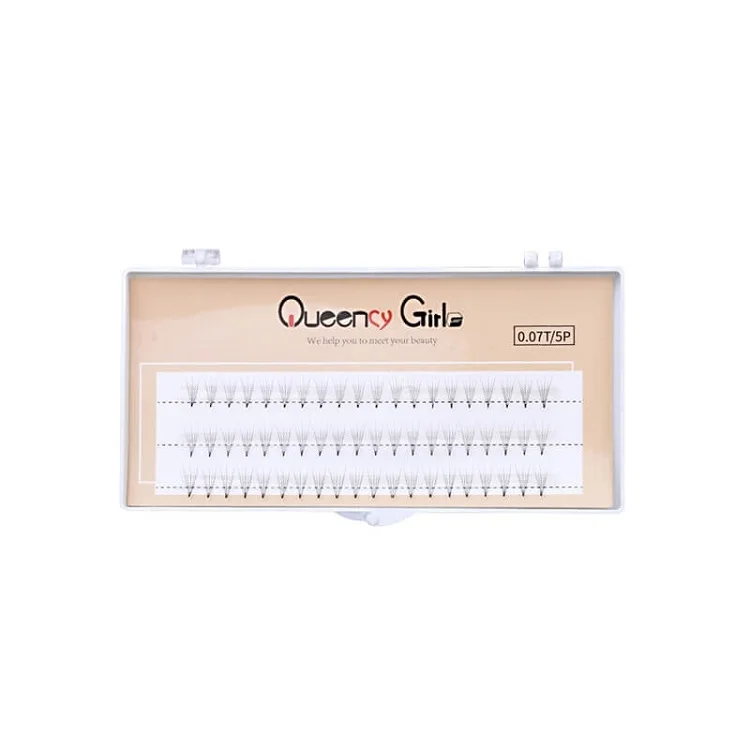 
Lashbeauty 0.07mm Premade Fans 3D 4D 5D 6D 8D Russian Volume Lashes Eyelash Extension 