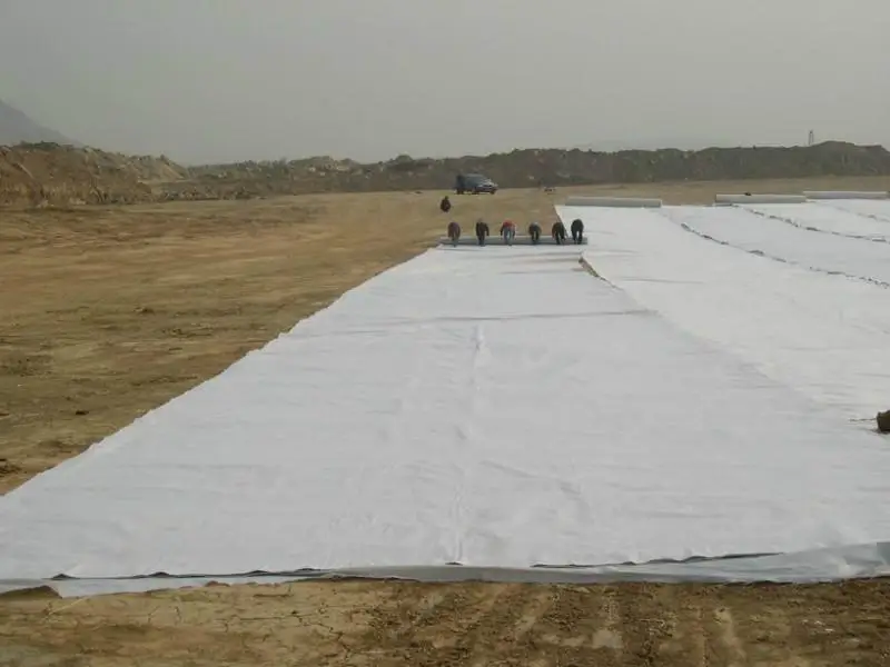 Plastic geotextile fabric price geomembranes manufacturers