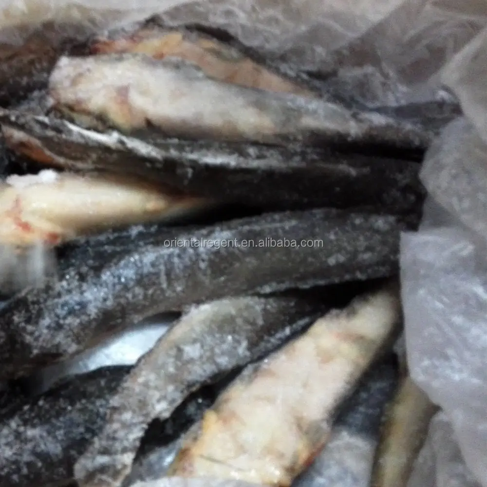
new product--Frozen Catfish Whole Round 
