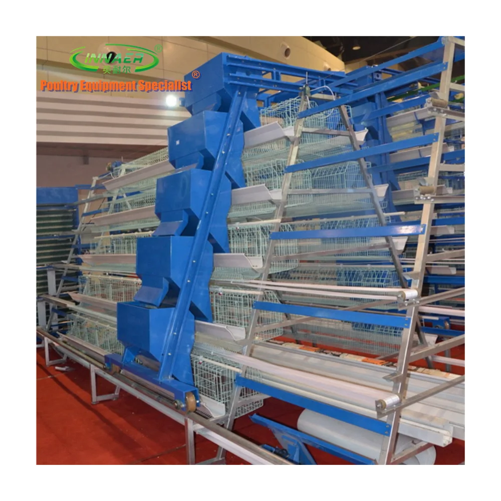 Птицефабрика автоматический куринный слой клетка