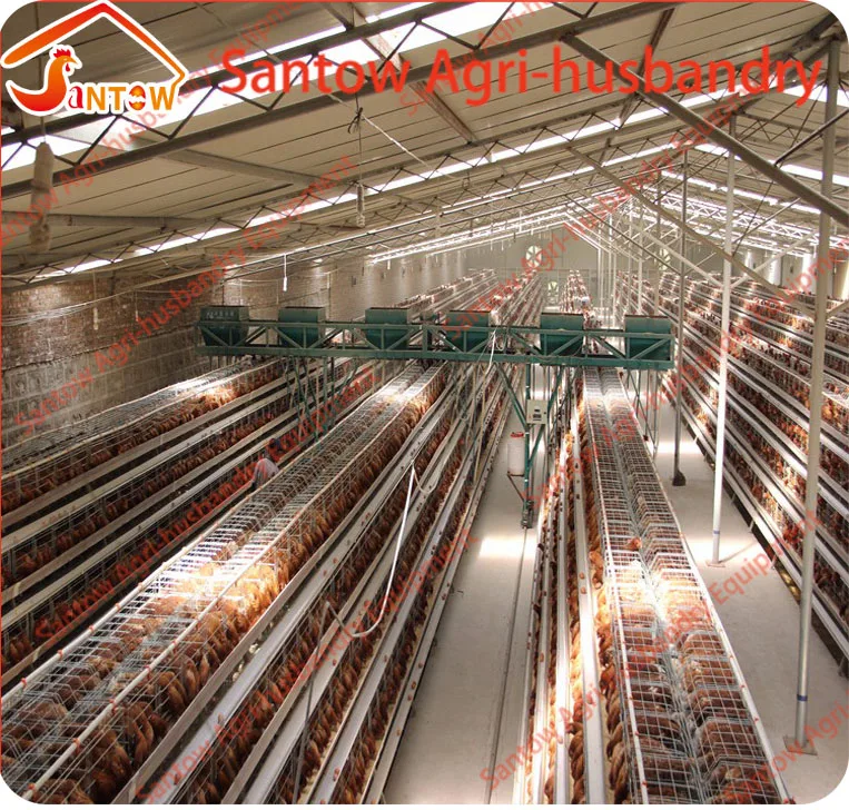 A type 4 tier chicken battery layer cages poultry feeder chain for poultry farm