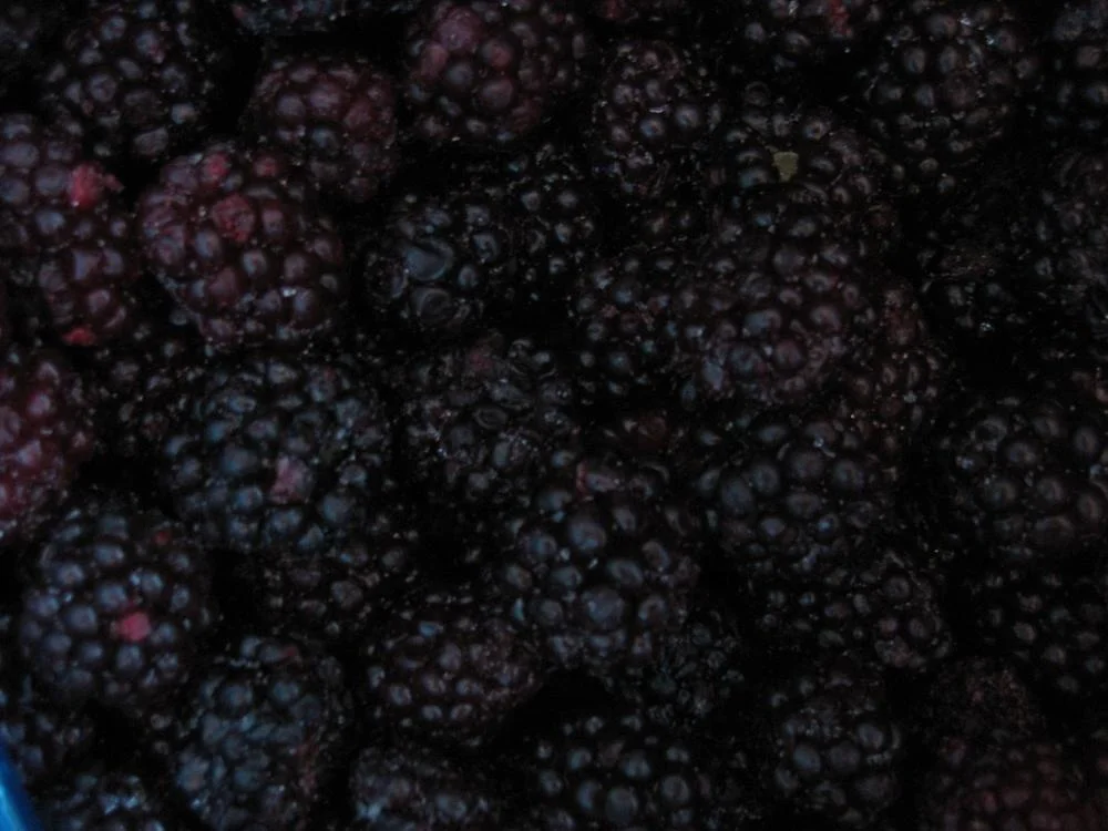 
Blackberry Frozen Fruit/IQF 