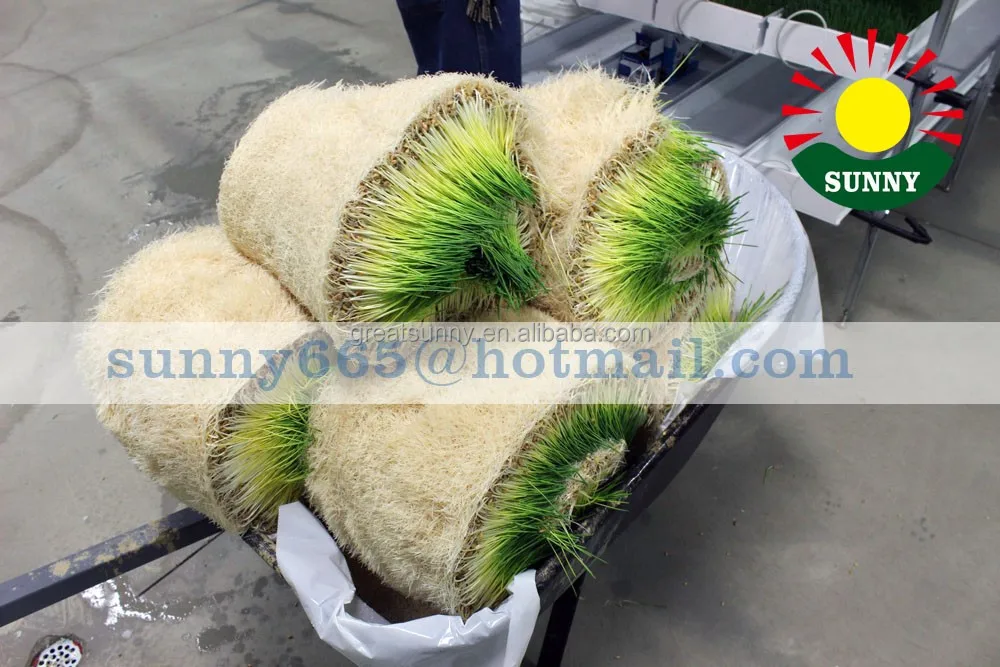 Hydroponic plant machinery, alfalfa, barley grass, cattle and sheep feed plant equipment