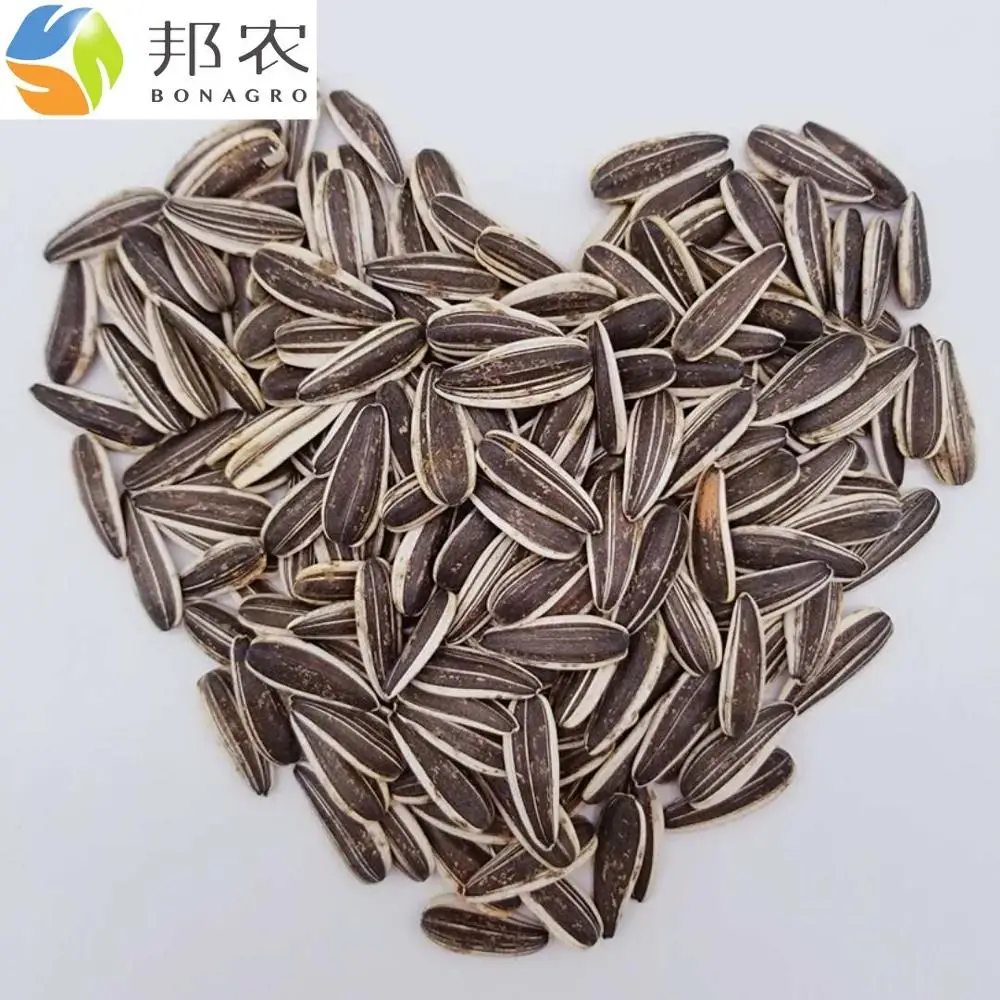 Семена подсолнечника