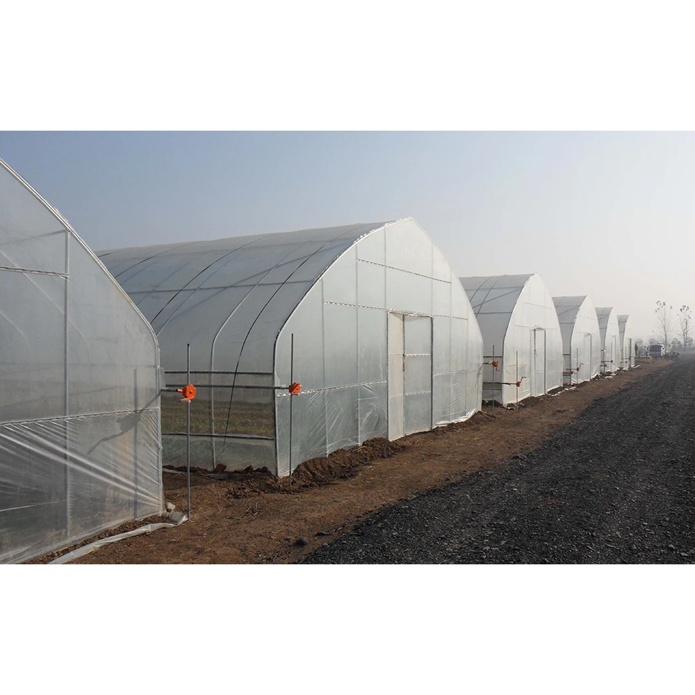 Крупногабаритная сельскохозяйственная теплица, 50 м, 30 м, 20 м