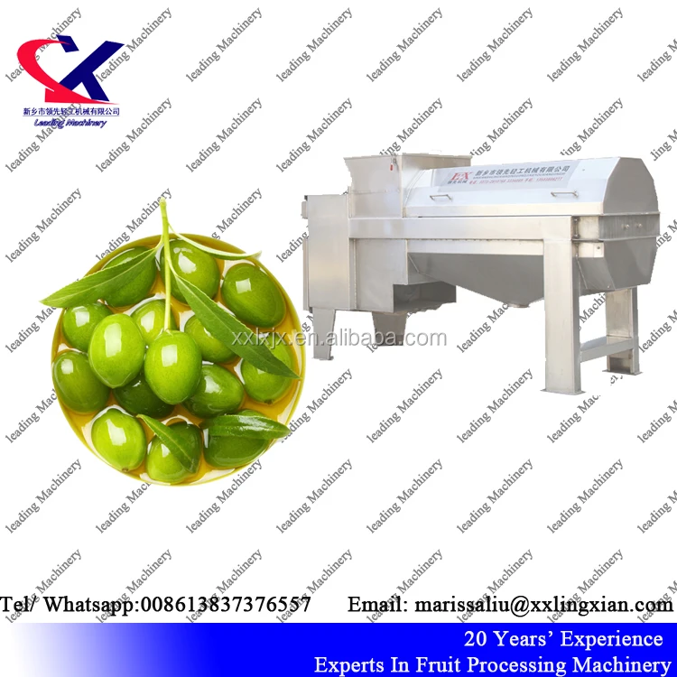 Olive Pitting Machine 5t/h suitable for Industrial Olive seed removing Machine