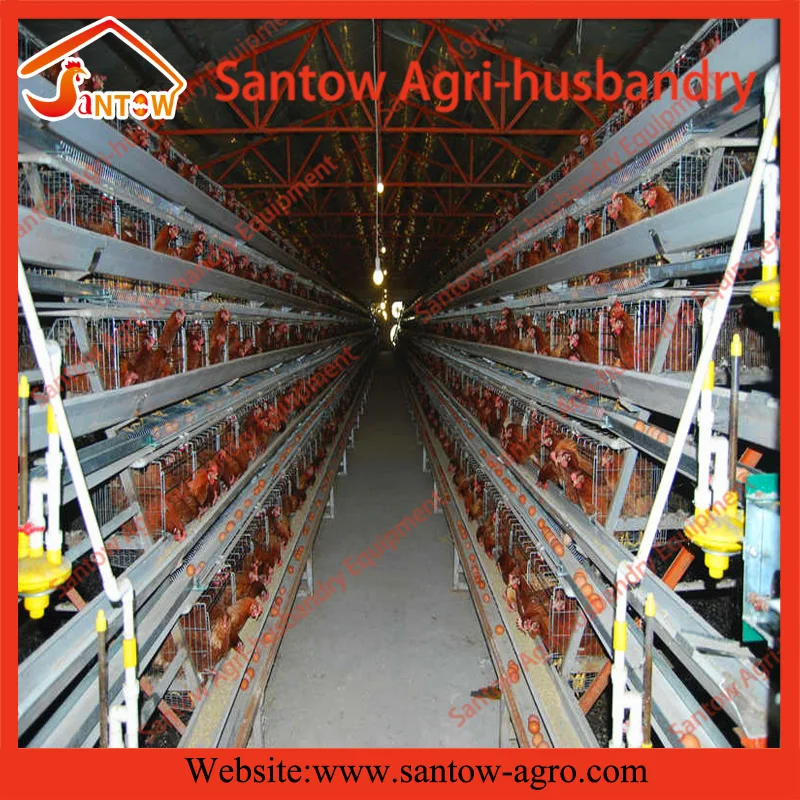 A type battery cage 4 tier chicken layer cages how to build a chicken coops for poultry farm