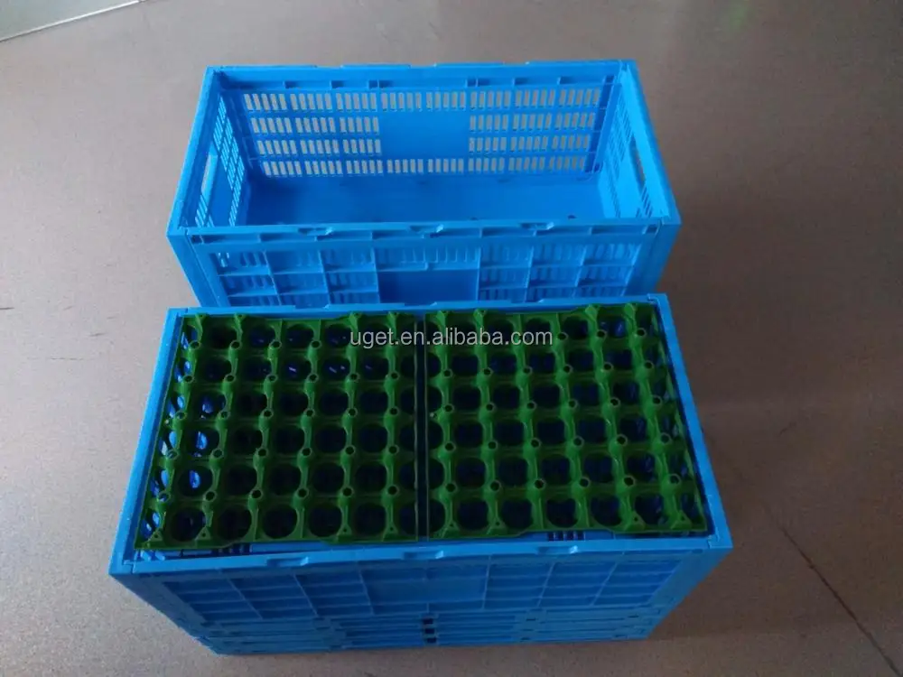 Top Quality Foldable Plastic Egg Crate For Wholesale