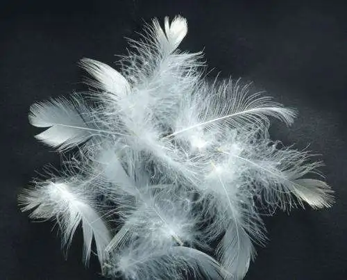 
Cheap hot sale top quality high quality washed white goose feather 