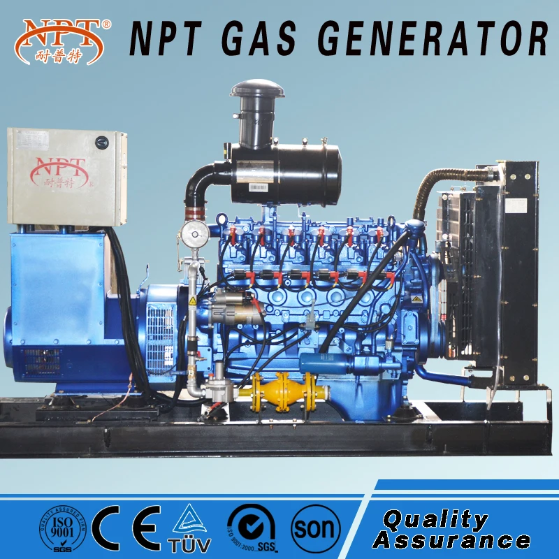 CE approved silent coal natural gas electricity generation price