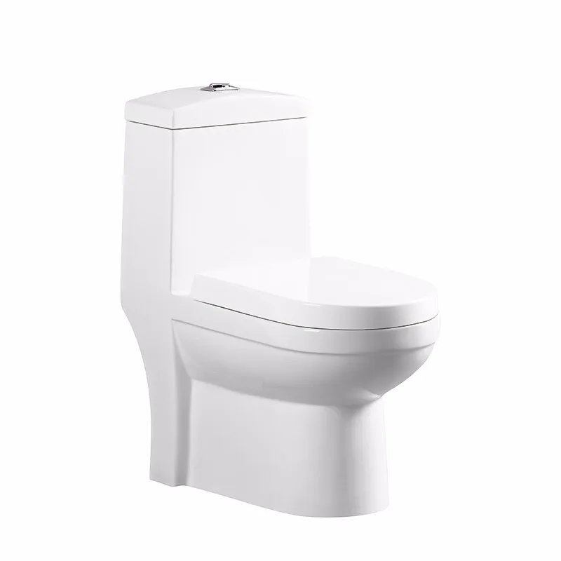 
High Grade Luxury Western New Product Fashionable One Piece Oem Wc Eco Toilet 