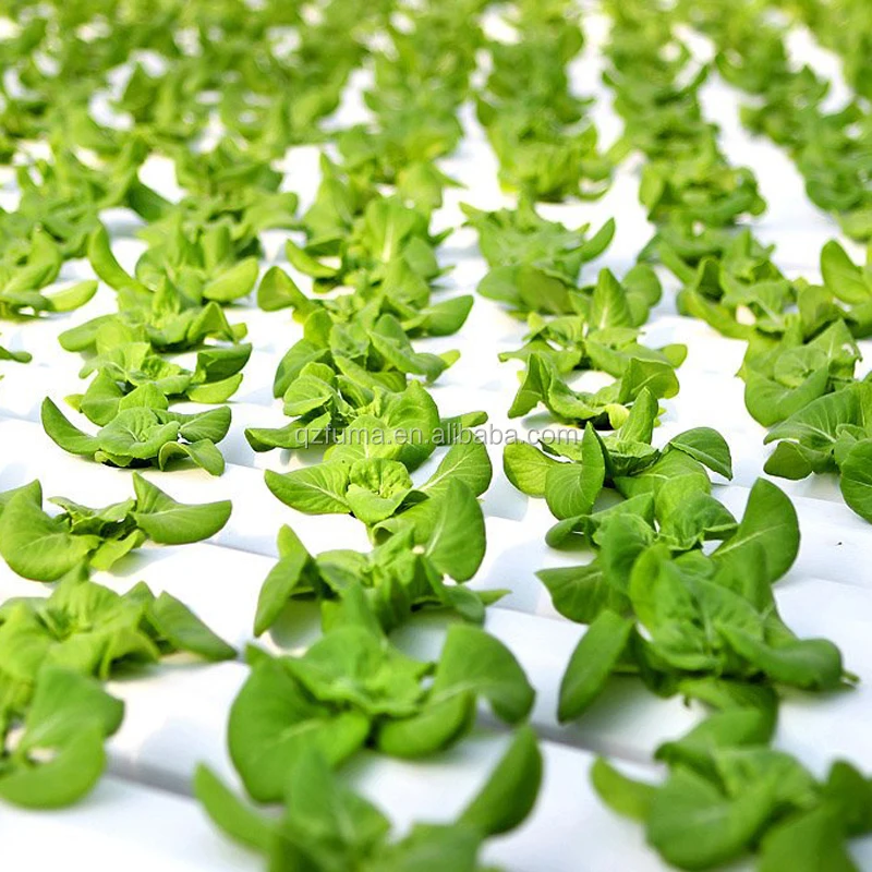 Low cost commercial smart greenhouse fodder hydroponic grow systems for sale