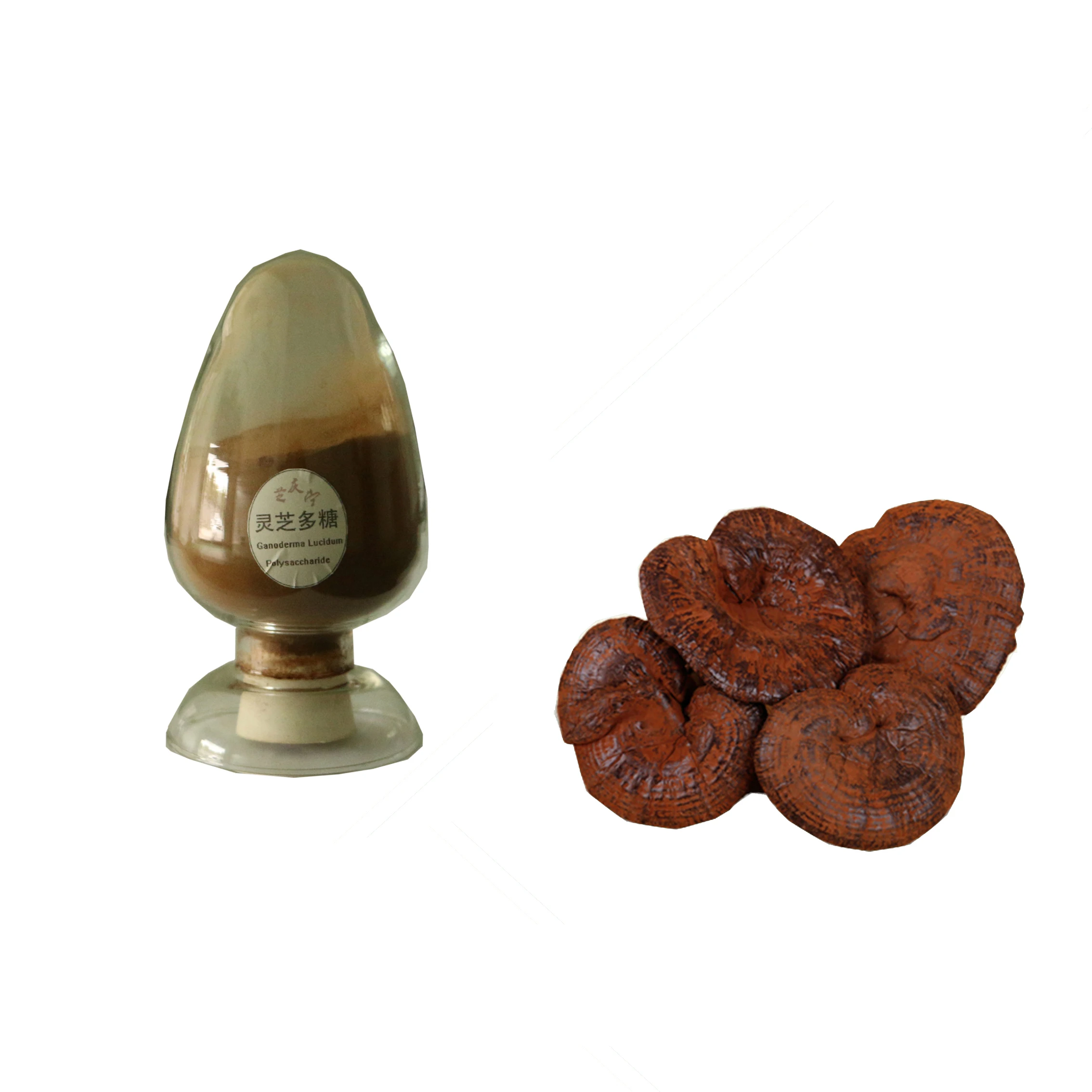 duanwood reishi mushroom extract powder reishi mushroom ganoderma lucidum wholesale reishi mushroom