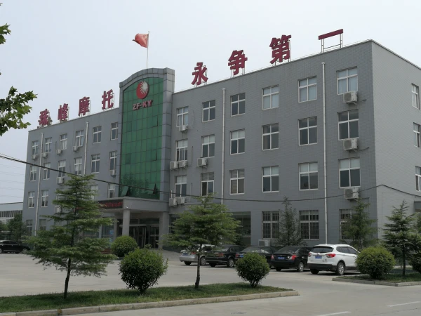 Высокое качество постельные принадлежности взрослым 3 колеса мощный с батарейным питанием грузовой Электрический моторизованный трицикл