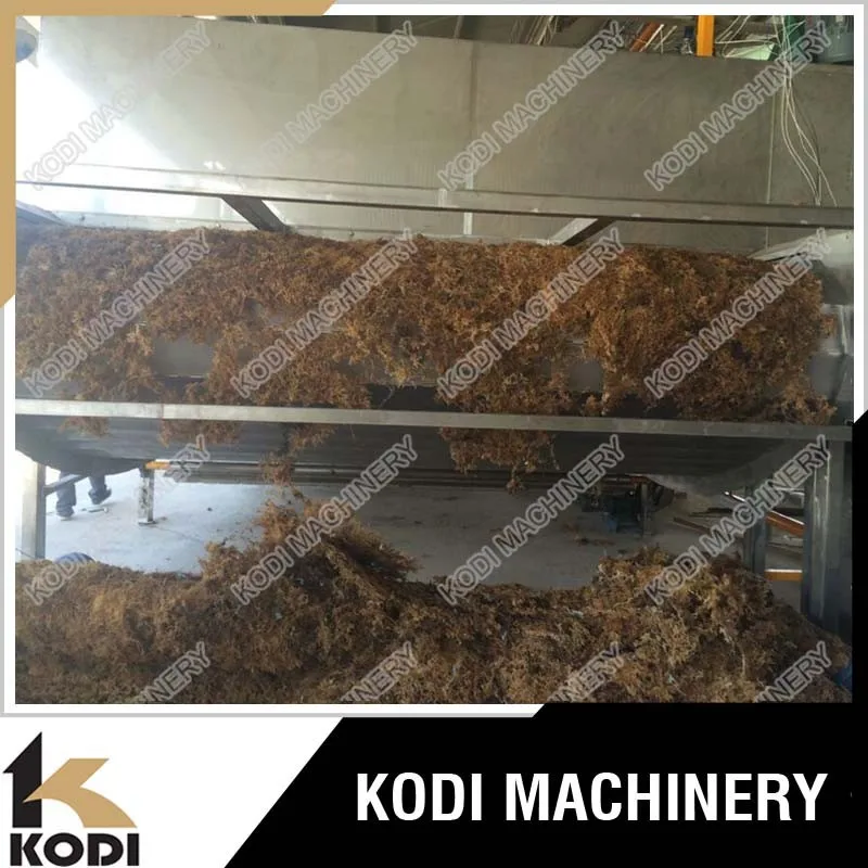 KODI Continous Seaweed Mesh Conveyor Belt Dryer/Drying Machine