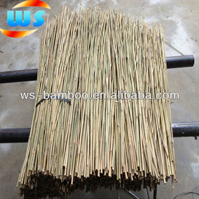 Bamboo for plant support (Olive tree support)