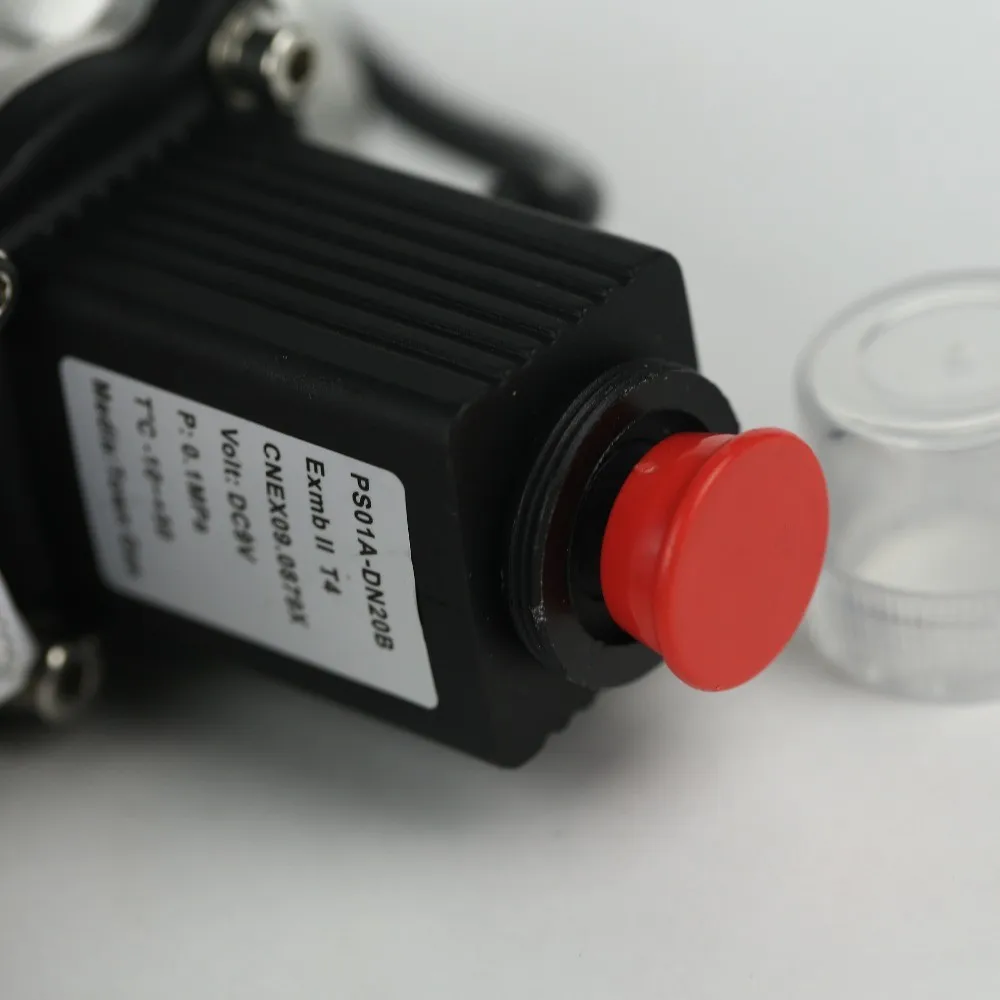 LPG Cooking Natural Gas Safety Regulator