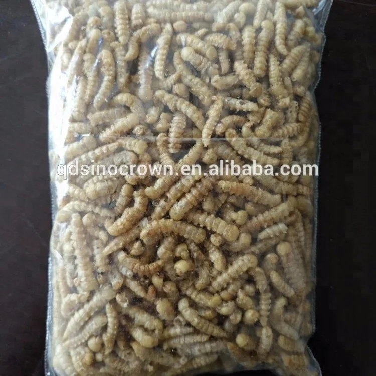 Ostrich Food Dried Yellow Mealworm Pupa Pet Feed Ddditive