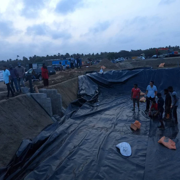 UV resistant 0.75mm HDPE Geomembrane Fish Pond Liner