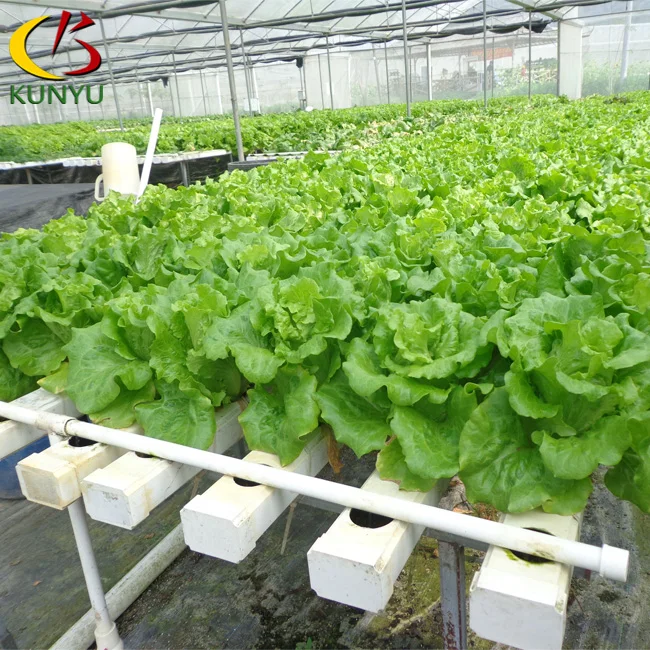 Hot sale open lid pvc channel hydroponic nft growing systems for vegetable