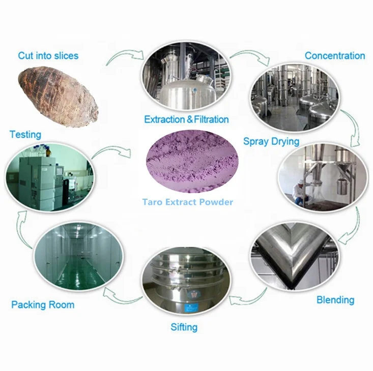 Pure Taro Flavor Powder Taro Root Extract for Food Additives