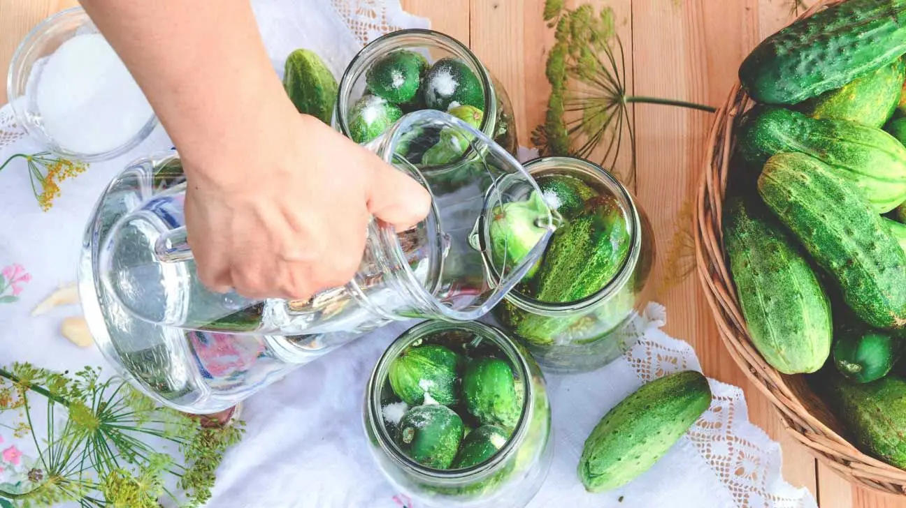 25 KG drum 20% distrilled organic  fermented white  vinegar manufacturer