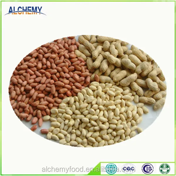 chinese imports wholesale groundnut 	 ground nut