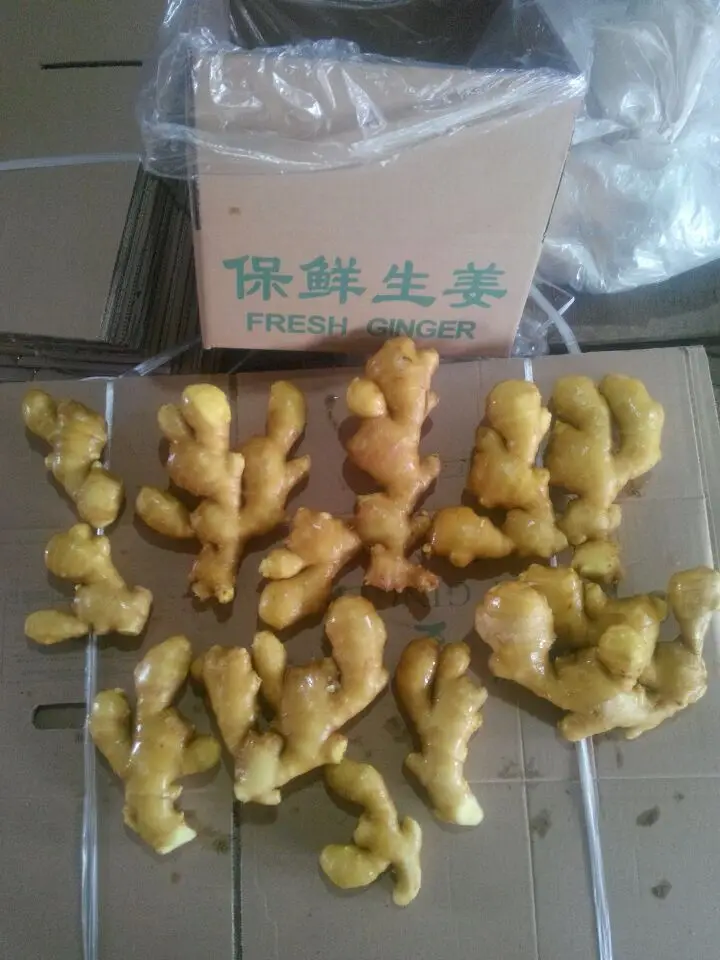 Свежий имбирь в картонной коробке 10 кг