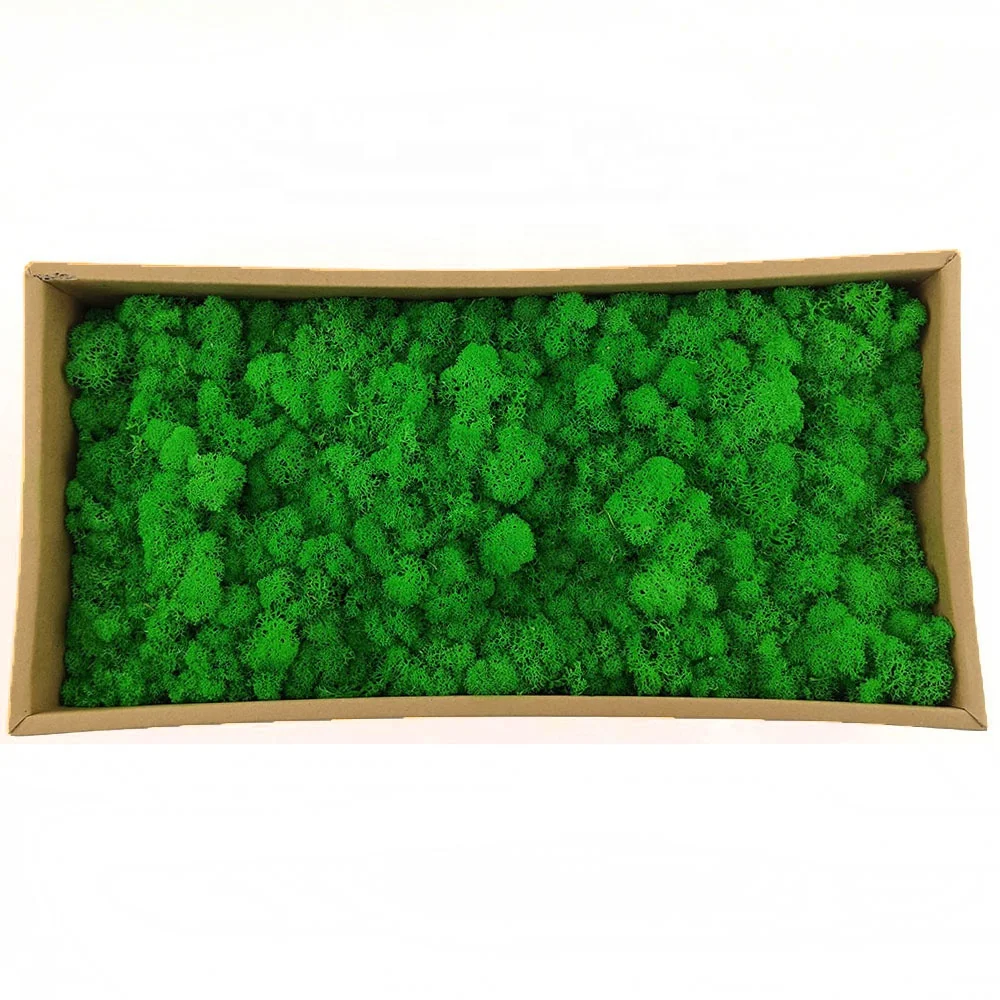 Office Decoration Wholesale Stabilized Moss Green Wall Moss Preserved Natural Moss Wall
