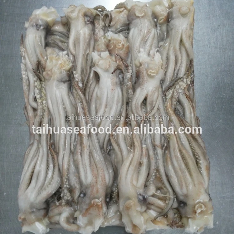 Frozen illex squid tentacle and squid head BQF