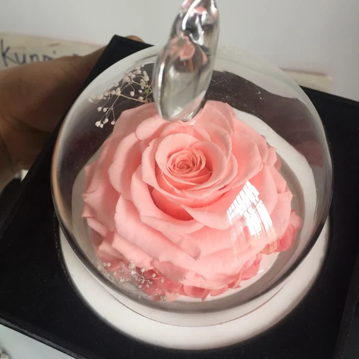 preserved rose in glass dome with heart button on the top