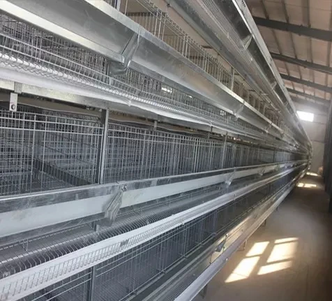 
 Суточные цыплята бройлера клетка/клетка для выращивания Бройлера  