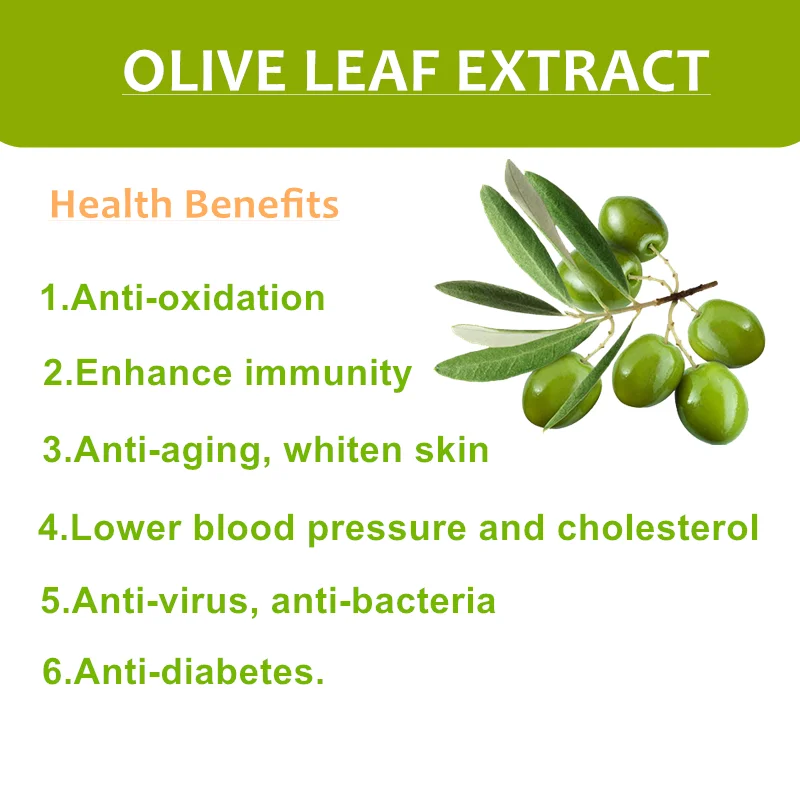 
High quality price nutrition supplement powder Olive Leaf Extract 40% Oleuropein by HPLC 