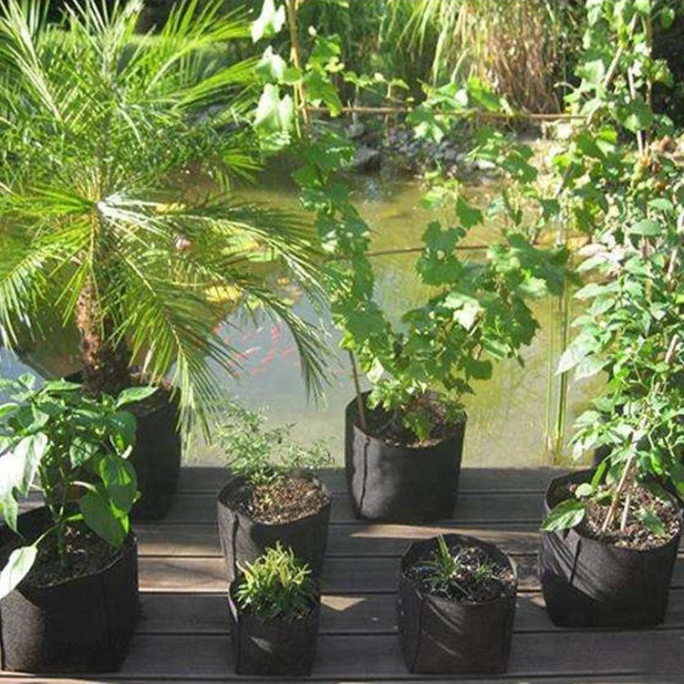 hotsales cheap 5 gallon black fabric grow bags plant containers smart felt flower pots