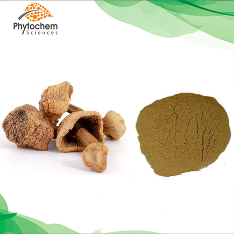  Высококачественный полисахаридный экстракт грибов agaricus blazei murill