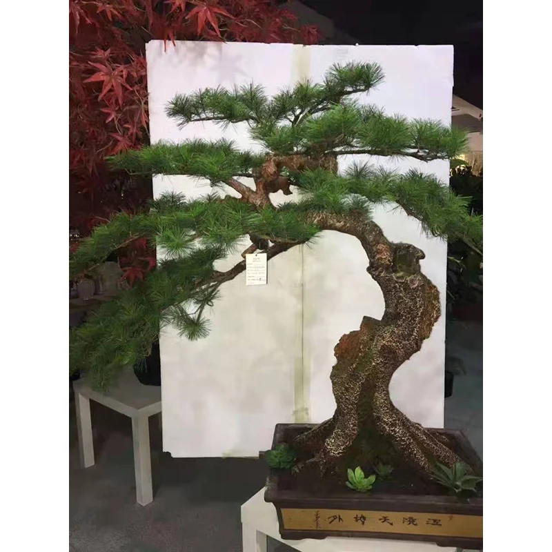 120cm height artificial bonsai pine tree plant, indoor mini bonsai black pine artificial for sale
