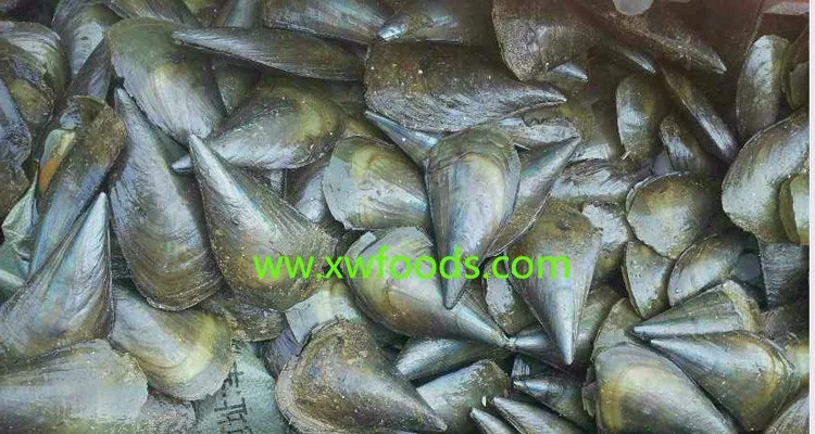 Замороженная расческа в виде ручки с мясом