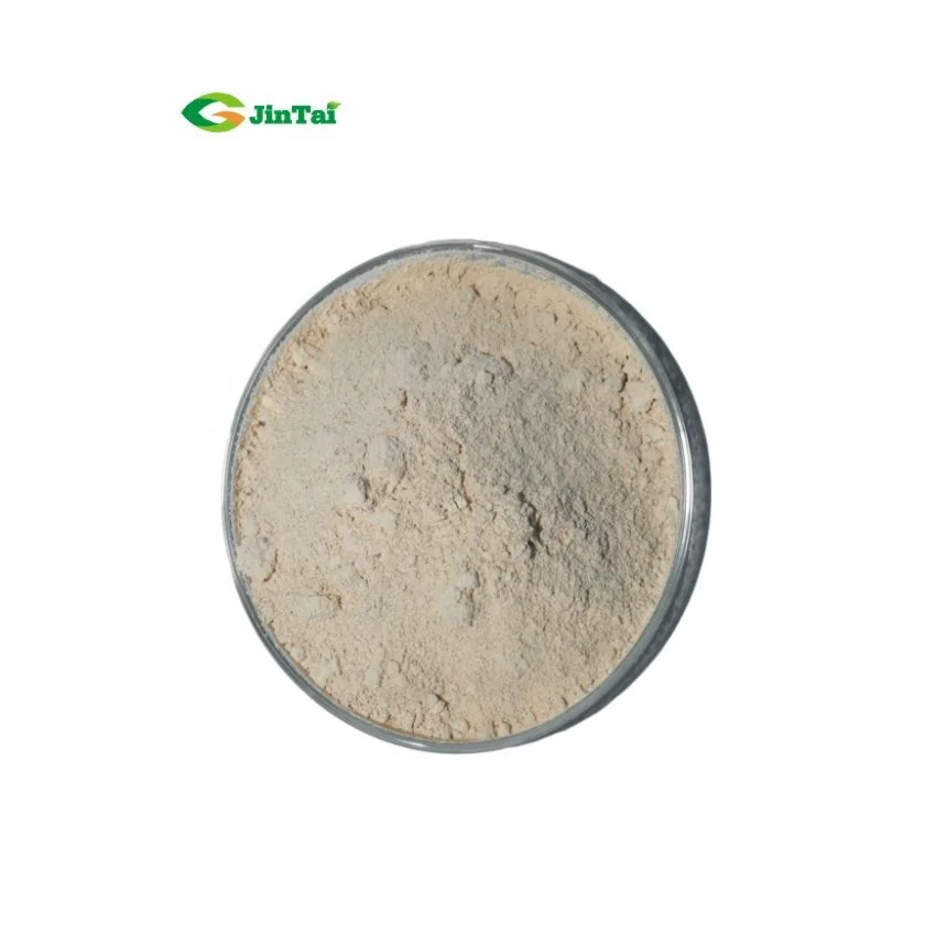 
natural herbs food grade herbal garcinia combogia extract hca 50% 60% hydroxycitric acid powder for weight loss 