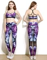 2016 Design Women Yoga Pants Fitness Sports Running Leggings With Mesh Panel Elastic Fitness Slim Tights