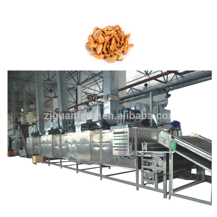 Vegetables and fruits dehydrator spring onion drying line