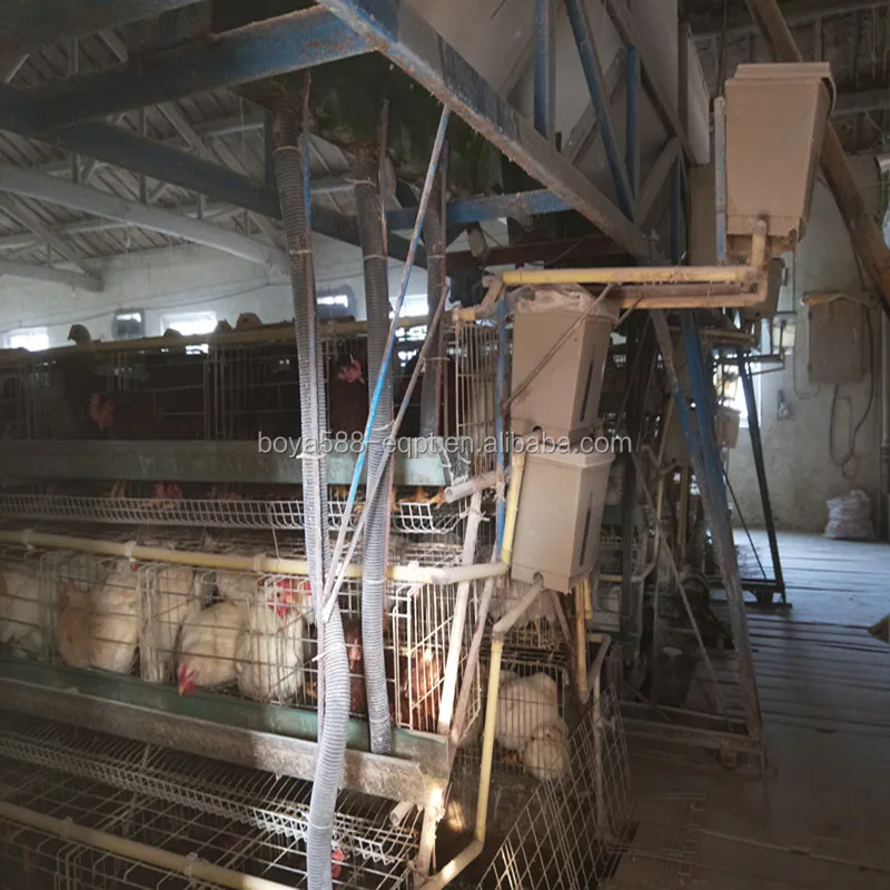 
 Заводской дизайн, полная линия, куриный домик, продукция для 1000 цыплят  