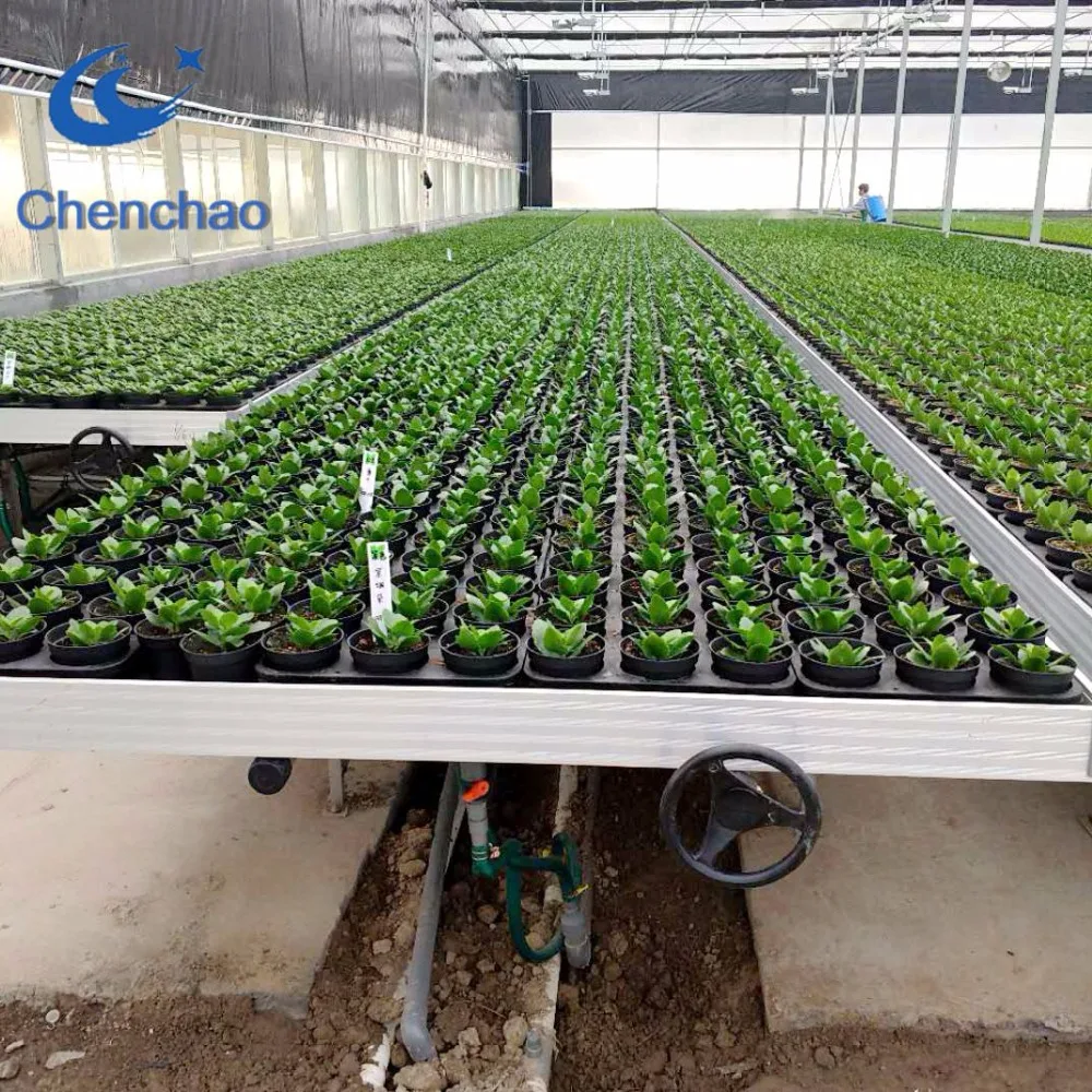 Greenhouse kits ebb flow trays rolling tables plant growing trays