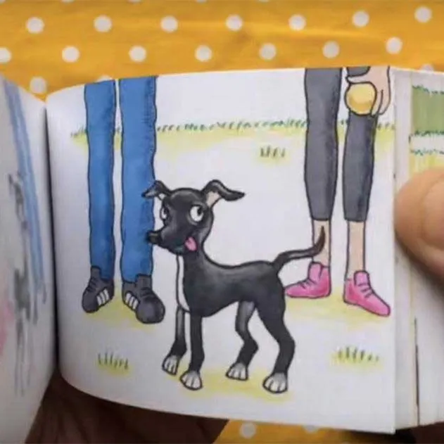 Custom hand-drawn  mini size flip book with offset printing