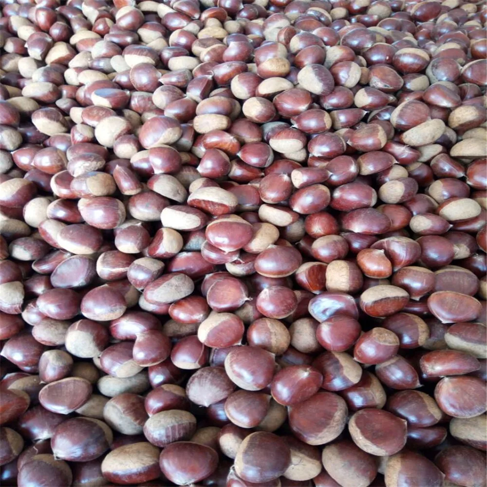  wholesale price chestnut