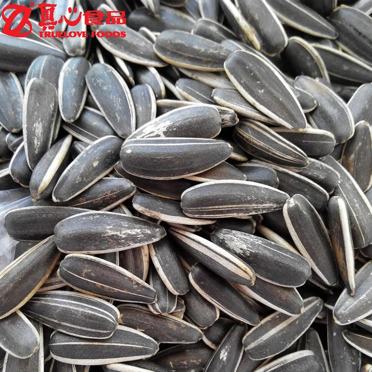 Raw Ukrainian wholesale sunflower seeds Bakery Grade