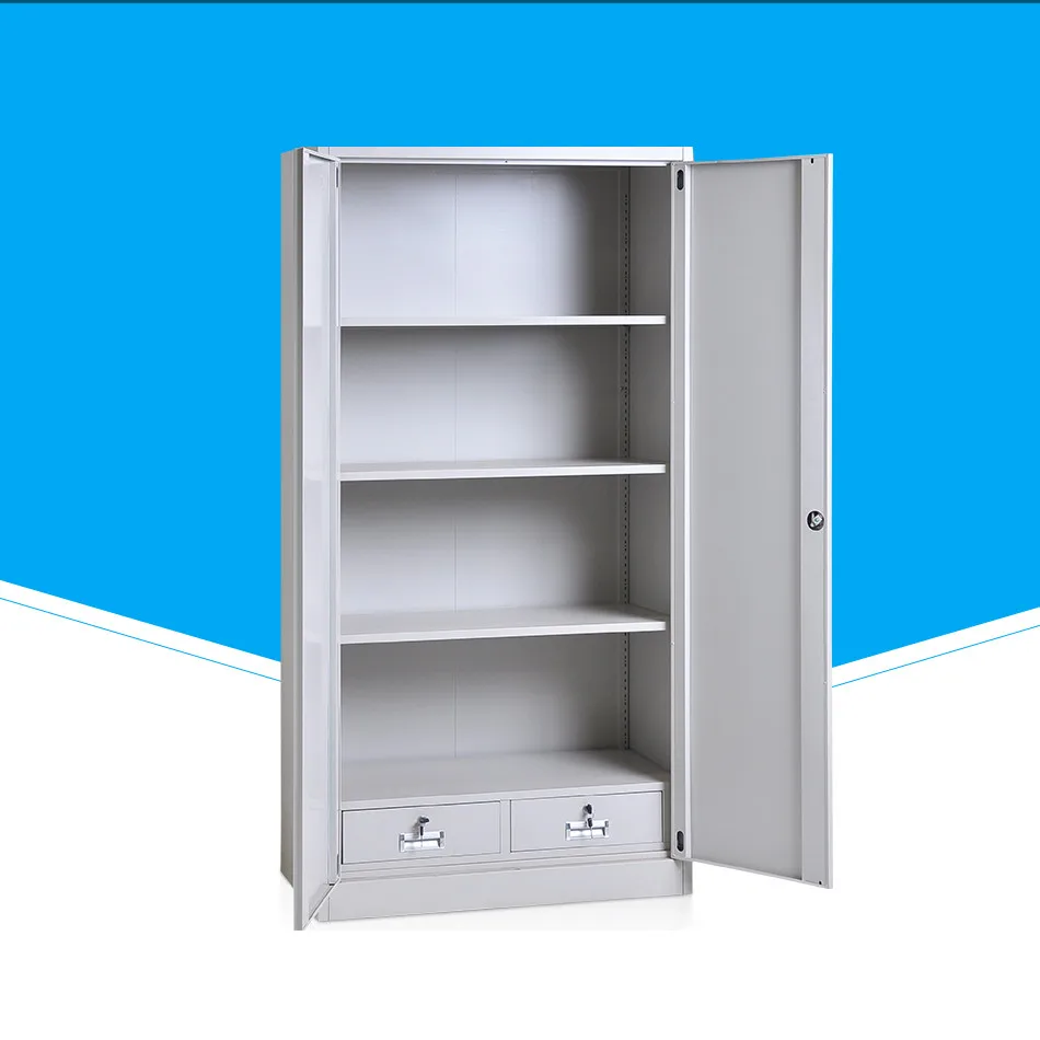 SFD-W19 2 Door Filing Cabinet in Hospital Steel Furniture